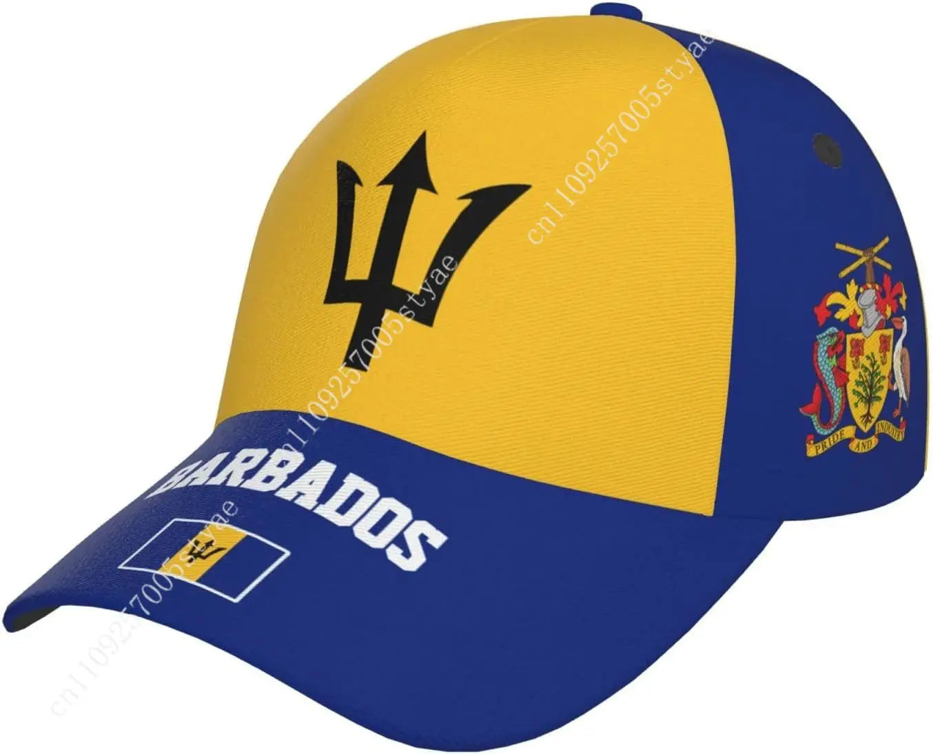 National Flag Baseball Cap